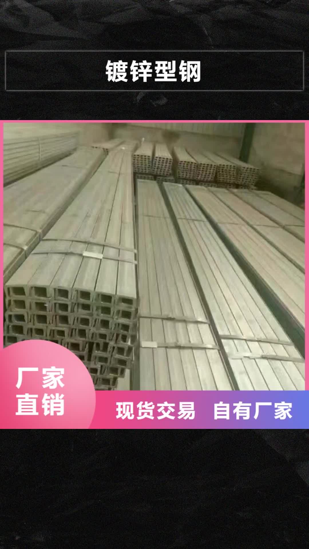 【湖南 镀锌型钢H型钢抛丸喷漆可放心采购】
