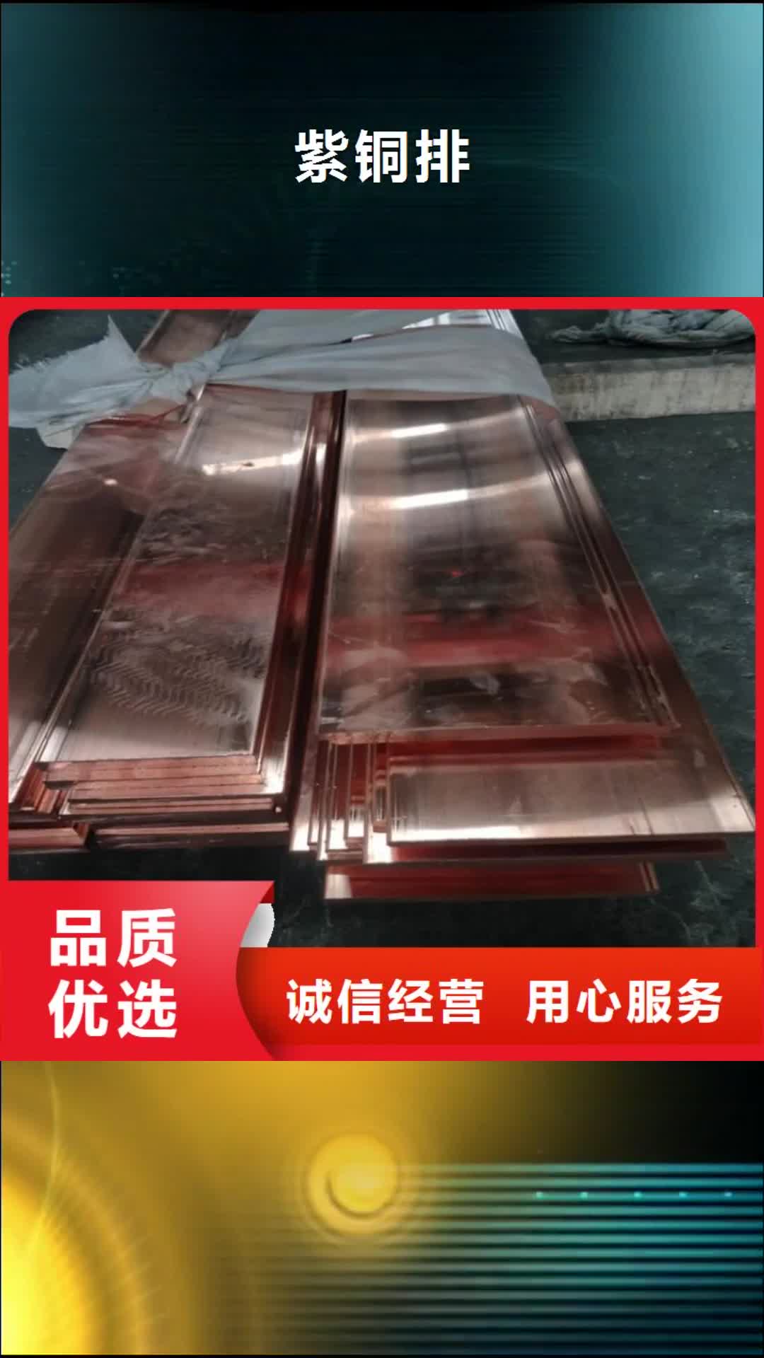 湘潭 紫铜排品质不将就
