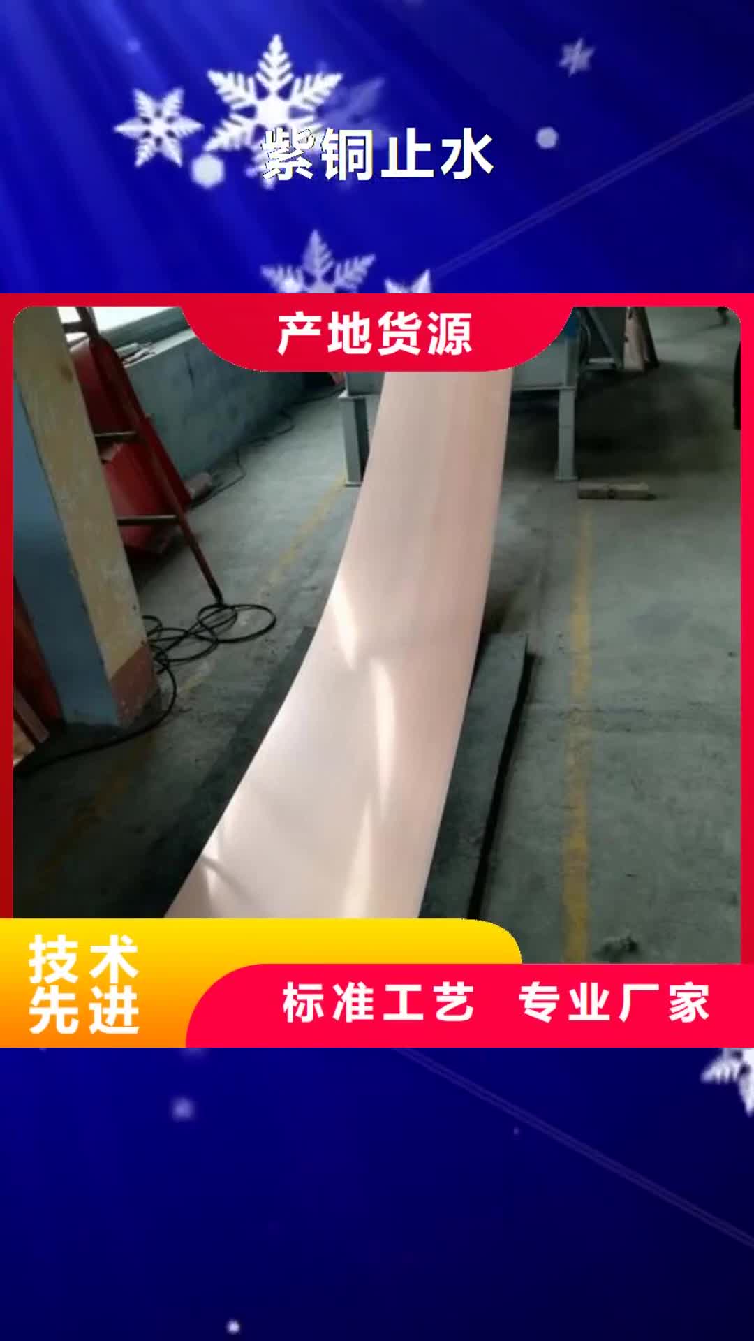 玉林 紫铜止水_【中埋式651型橡胶止水带】专业生产品质保证