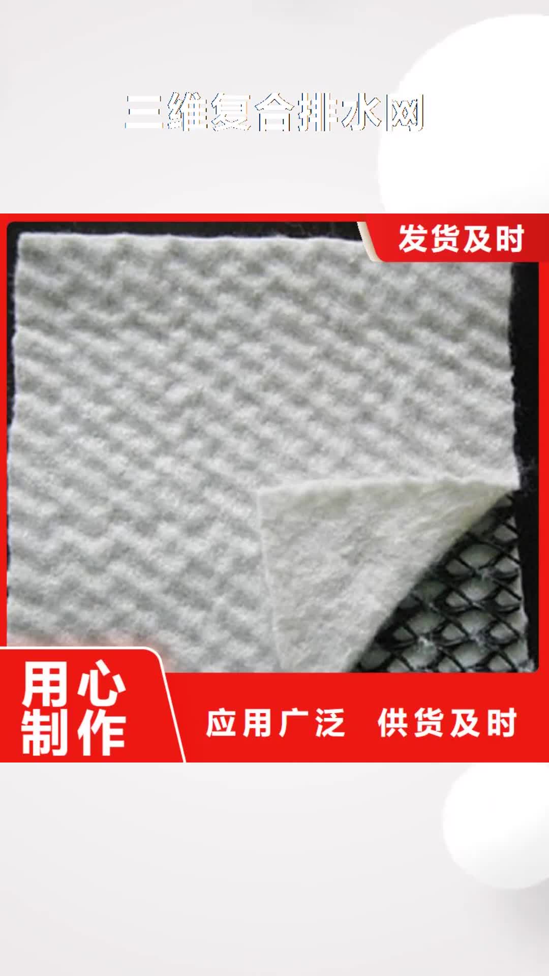 阜新 三维复合排水网 【蜂巢格室】工期短发货快