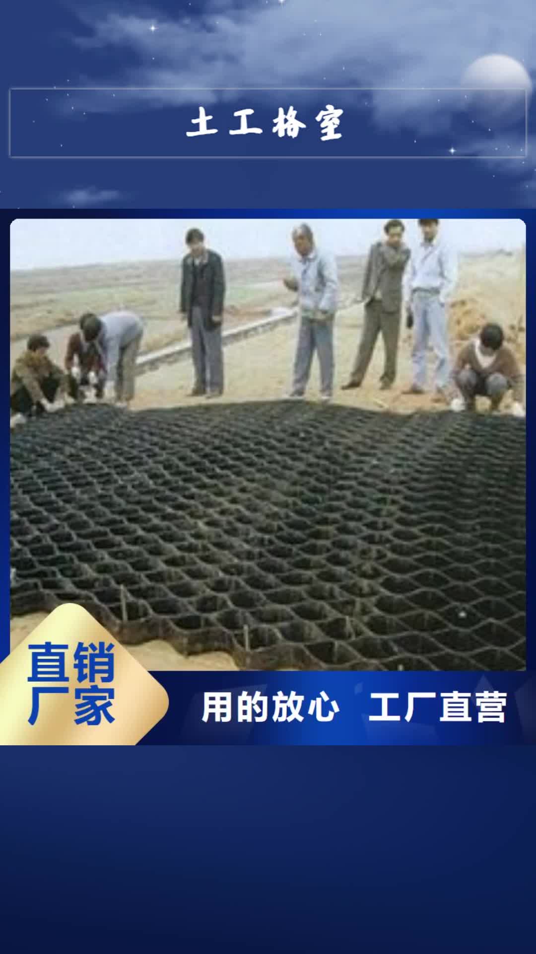 【辽阳 土工格室 钢塑土工格栅采购无忧】