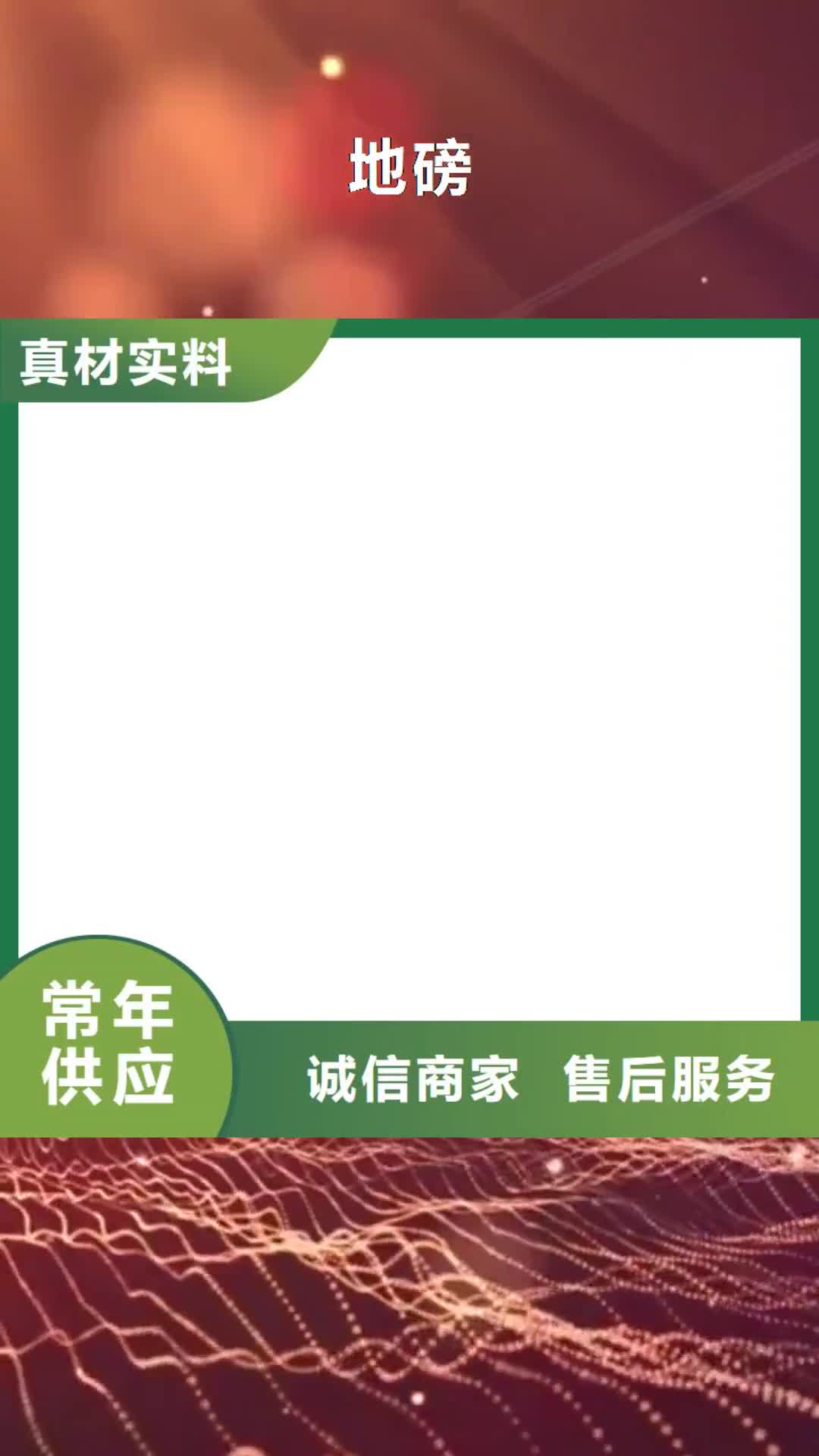 宁夏 地磅认准大品牌厂家