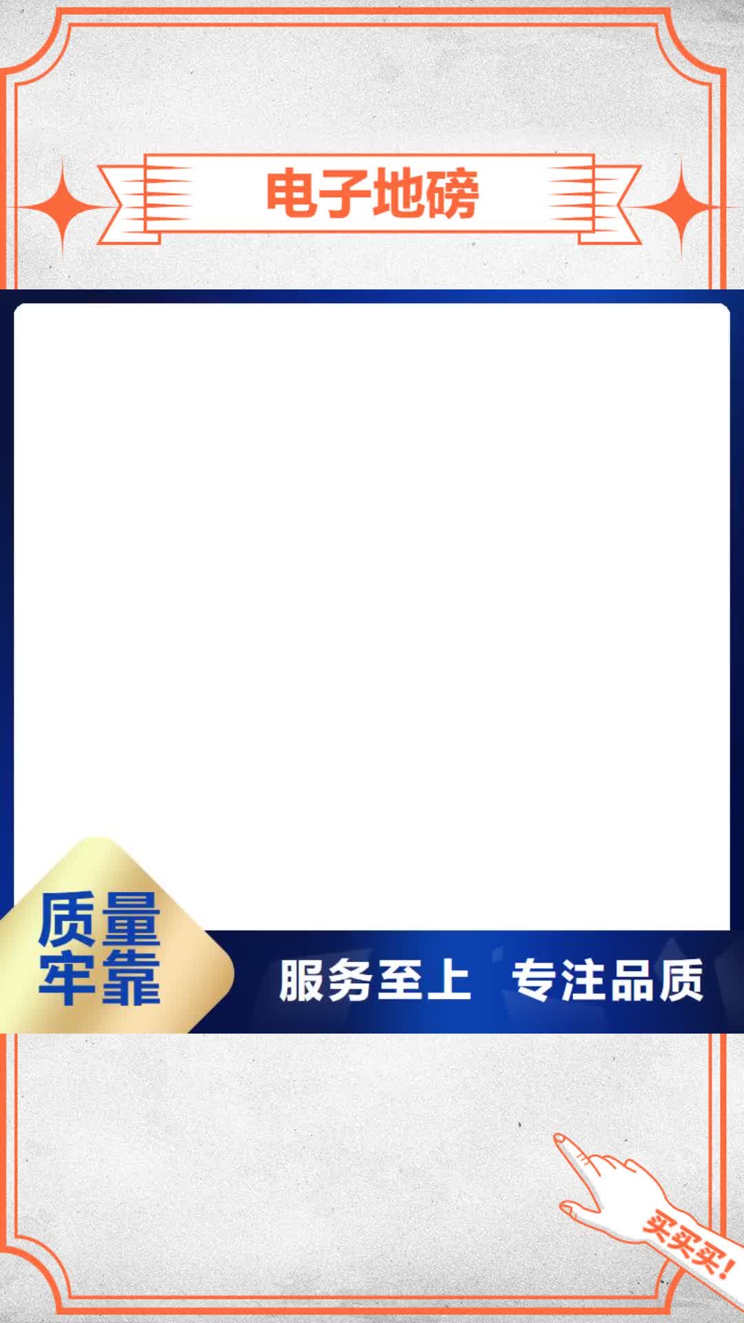 台湾 电子地磅_【电子吊磅】物流配送