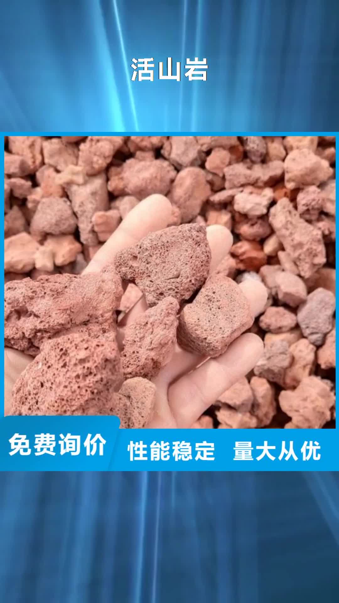 平顶山【活山岩】-果壳活性炭国标检测放心购买