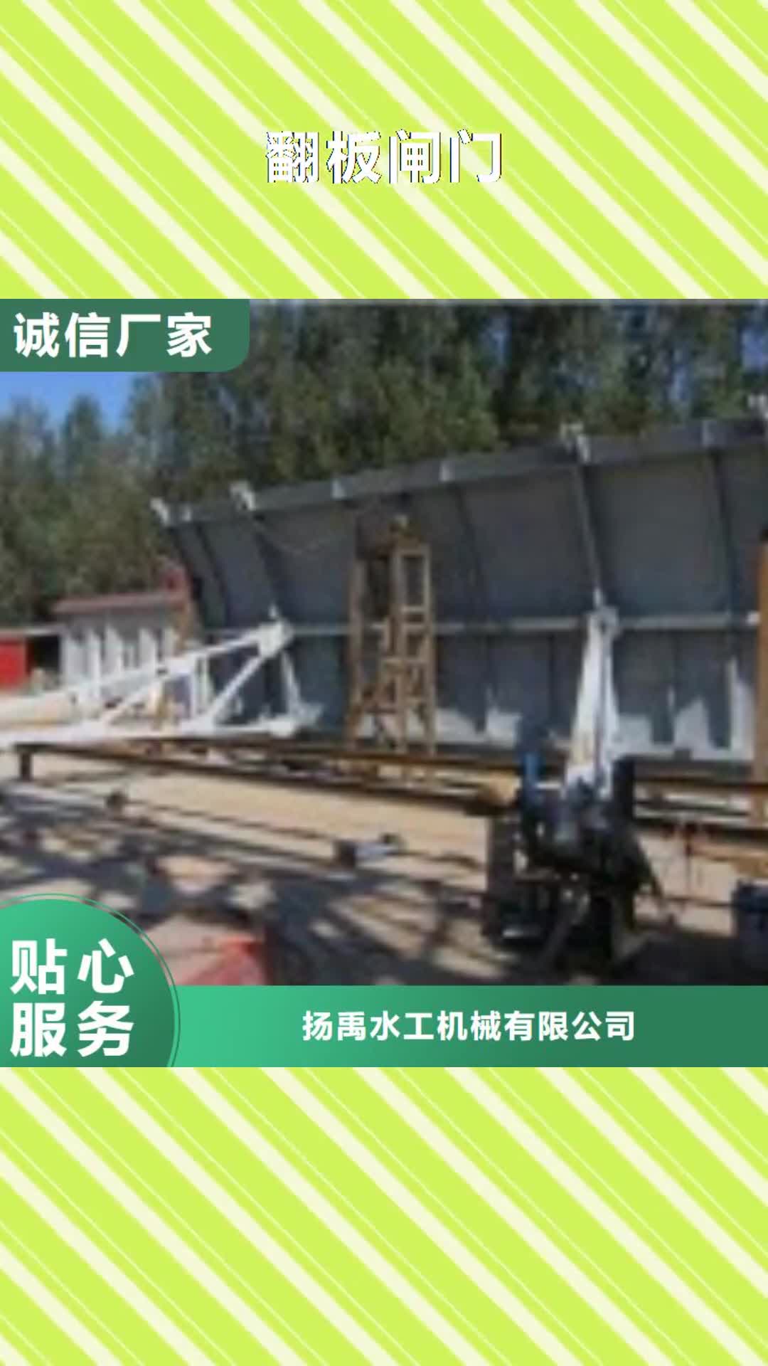 河源【翻板闸门】_铸铁拍门出货及时