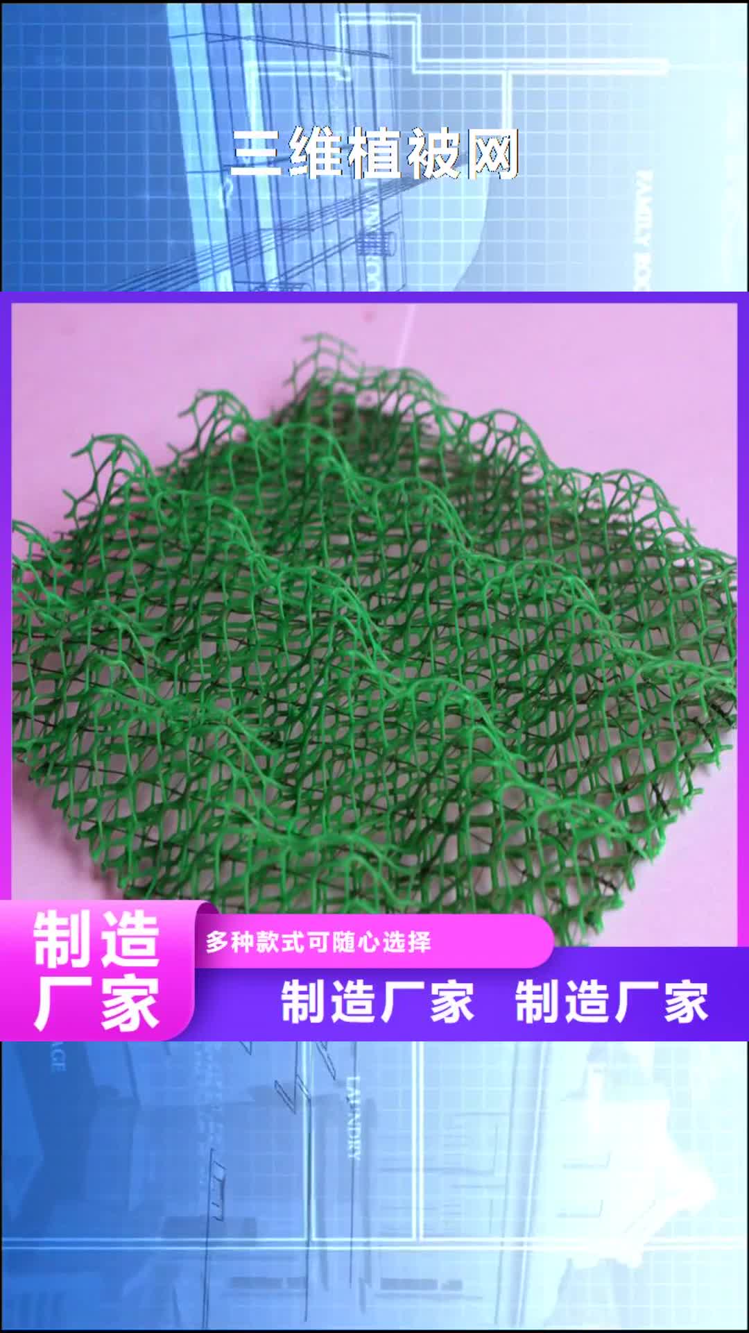 白银【三维植被网】-土工膜适用场景