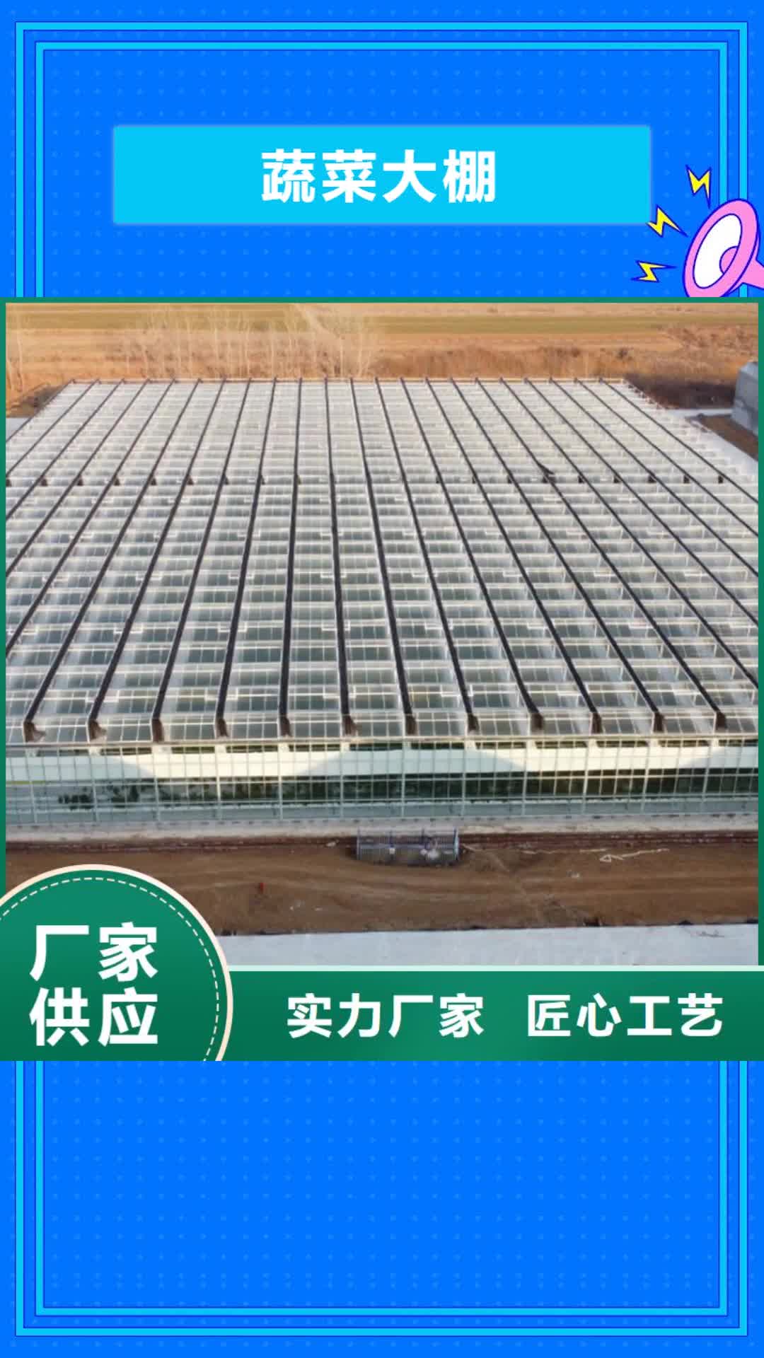 【日喀则蔬菜大棚温室大棚按需定制】